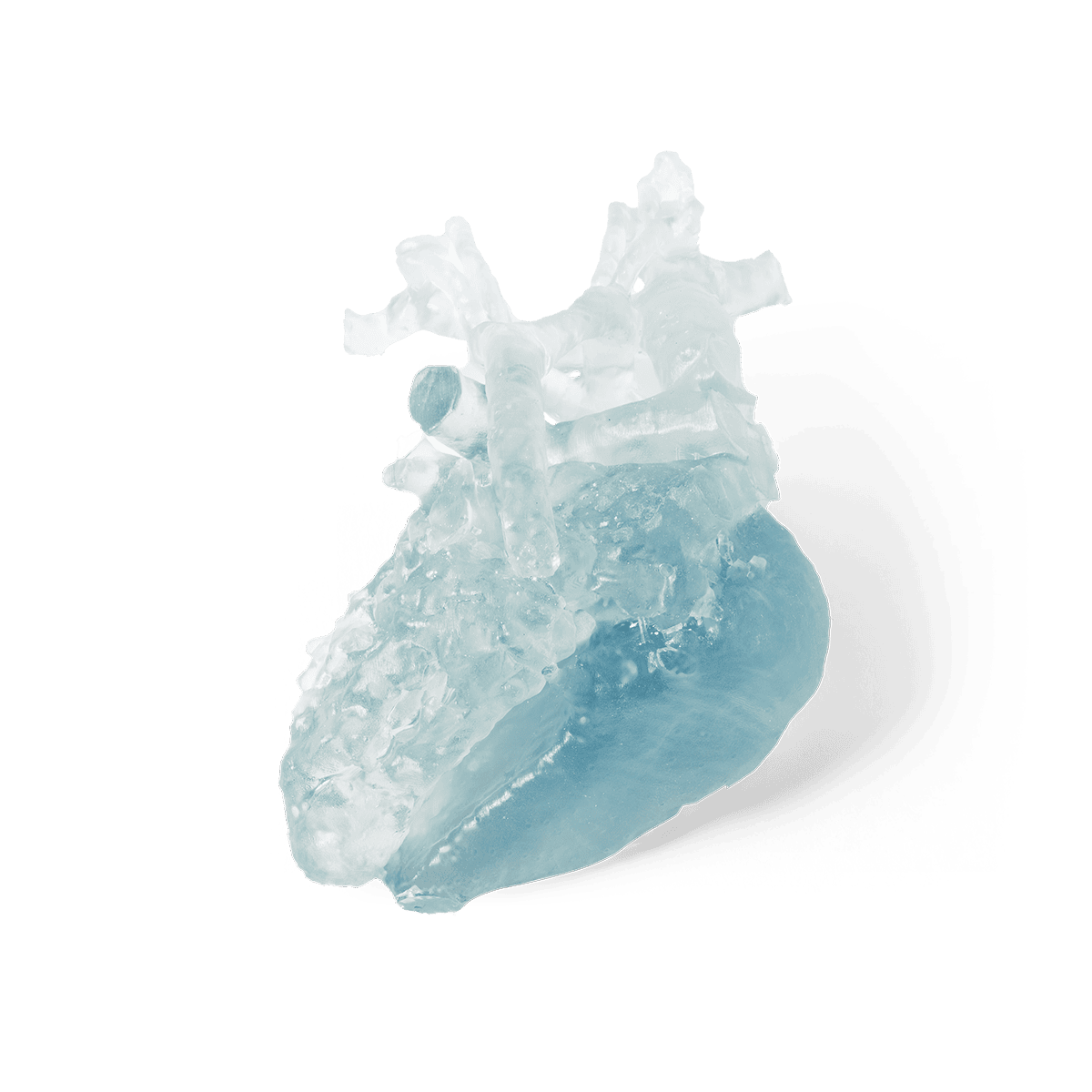 BioMed Flex 80A Resin 1